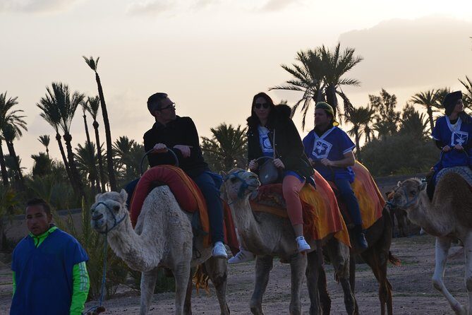 Camel Ride Experience Around Marrakech - What Travelers Say