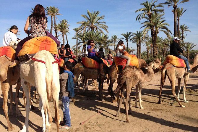 Camel Ride Experience Around Marrakech - Practical Tips for Participants