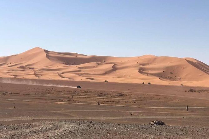 Camel Ride Experience - Introduction