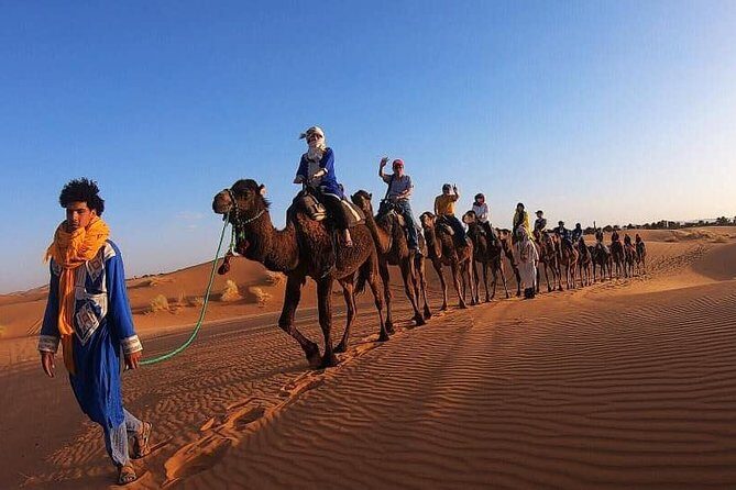 Camel Ride Experience - Key Points