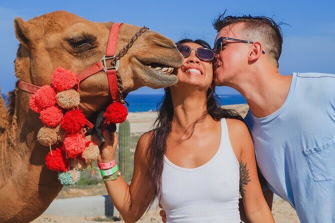Camel Ride Experience in Los Cabos with Pick up and Lunch - Key Points