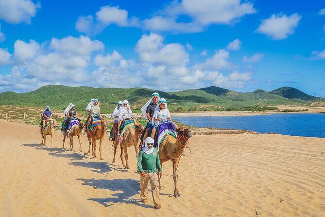 Camel Ride Experience in Los Cabos with Pick up and Lunch - The Sum Up