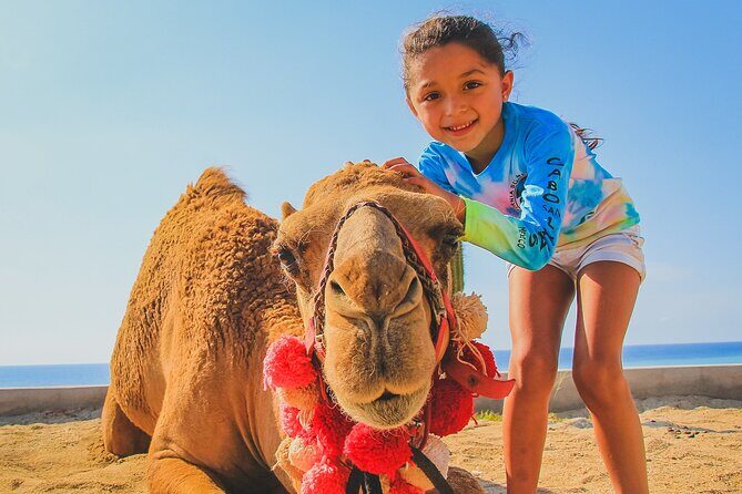 Camel Ride Experience in Los Cabos with Pick up and Lunch - FAQ