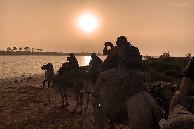 Camel Ride in Agadir at Sunset and Barbecue with Couscous - Who Will Love This Tour?