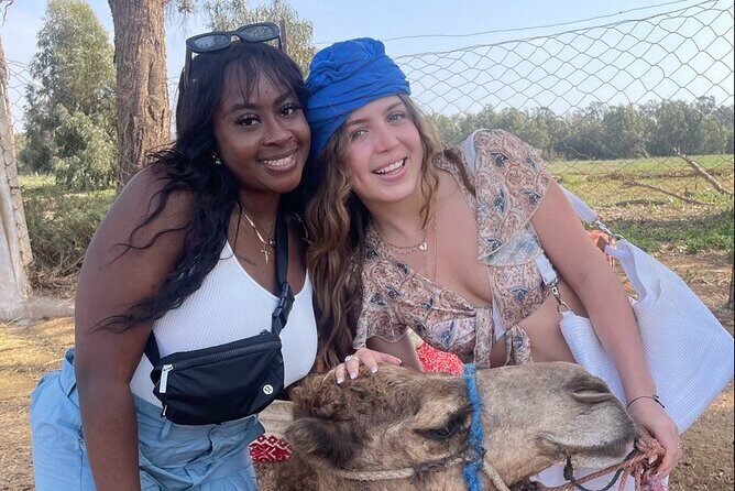 Camel ride in agadir at sunset with barbecue and couscous - Introduction