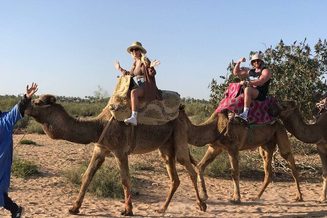 Camel ride in agadir at sunset with barbecue and couscous - Key Points