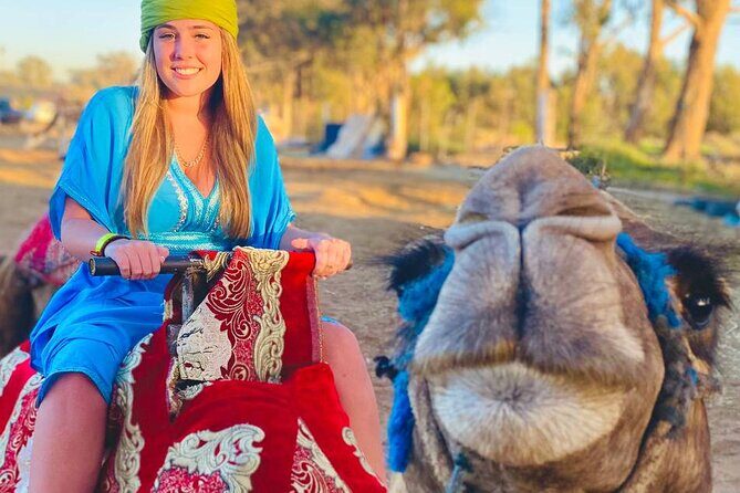 Camel ride in agadir at sunset with barbecue and couscous - The Sum Up