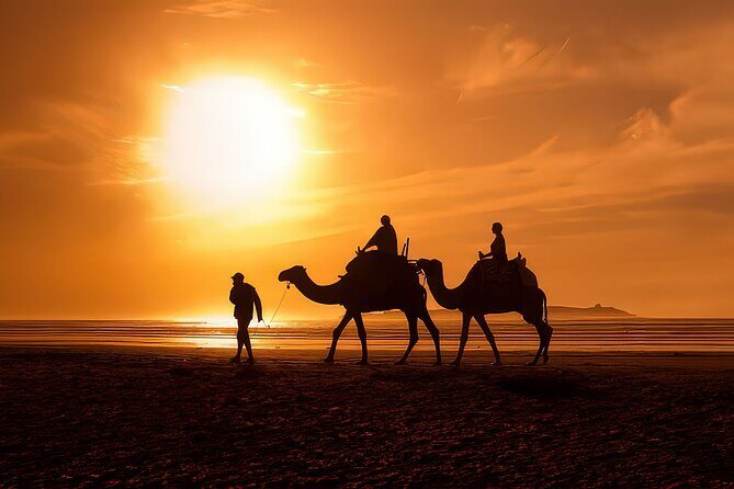 Camel Ride in Agadir with Dinner BBQ - Key Points