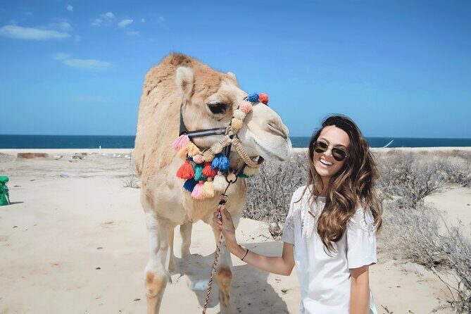 Camel Ride in Agadir with Dinner BBQ - The Sum Up