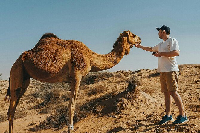 Camel Ride in Agadir with Dinner BBQ - FAQ