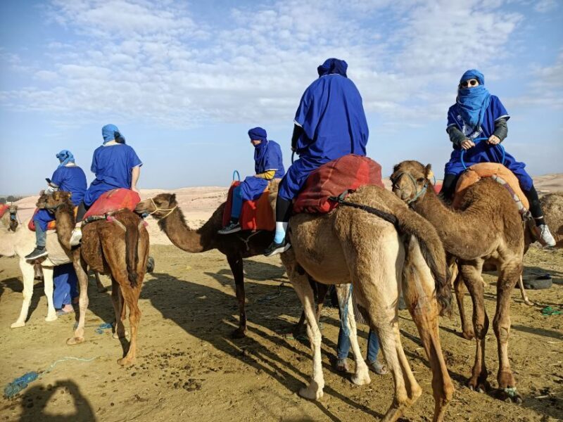 Camel Ride In Agafay Desert - A Practical Guide to the Agafay Camel Ride