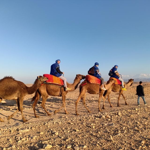 Camel Ride In Agafay Desert - The Sum Up