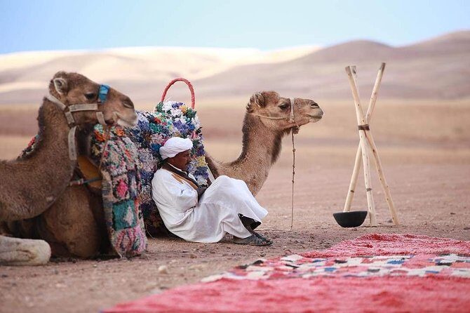 Camel ride in Agafay desert - Key Points
