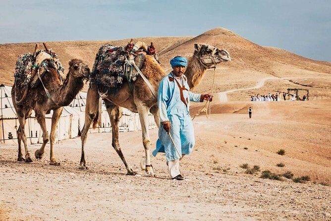 Camel ride in Agafay desert - Who Will Love This Experience?