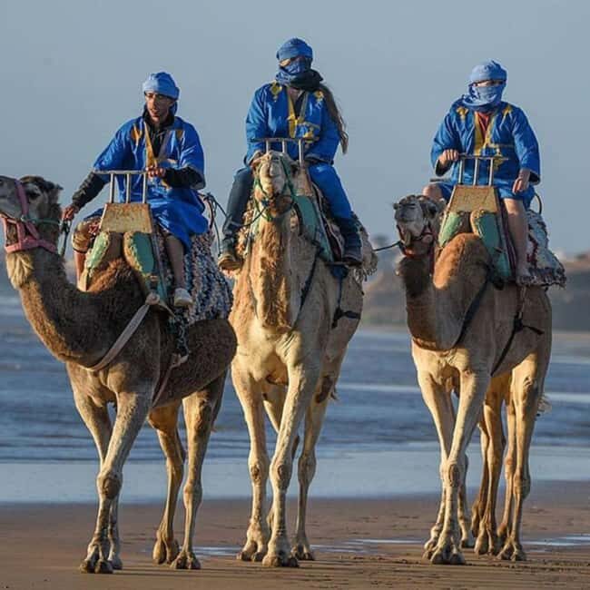 Camel Ride in Essaouira - Key Points