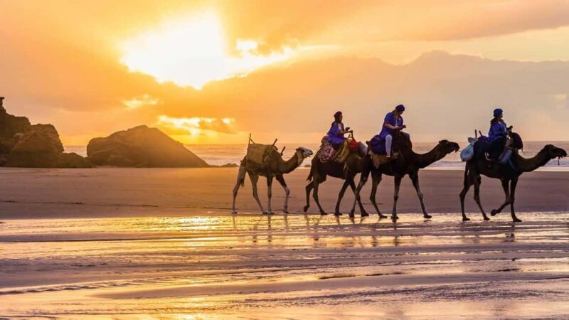 Camel Ride in Essaouira - Exploring the Experience: What It’s Like