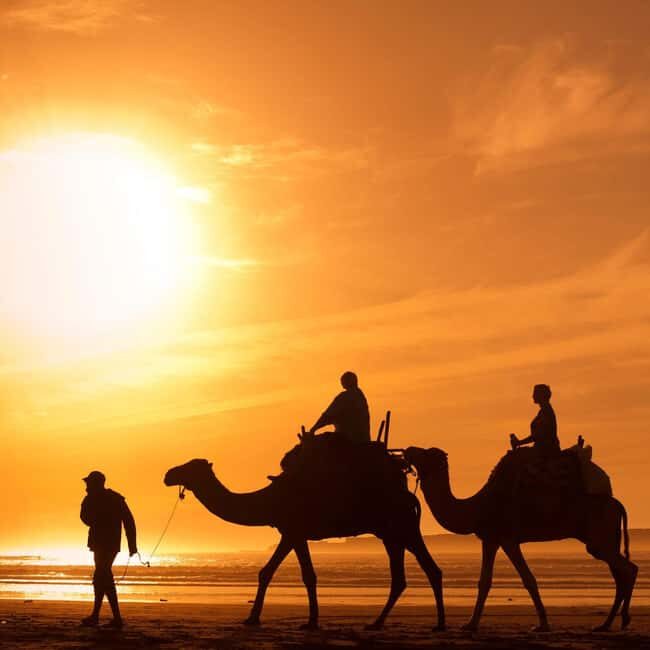 Camel Ride in Essaouira - The Experience in Detail