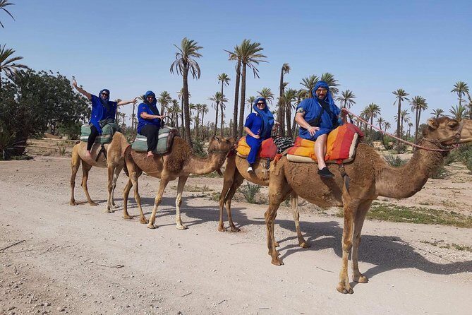 Camel Ride in Marrakech desert palmgrove - Key Points