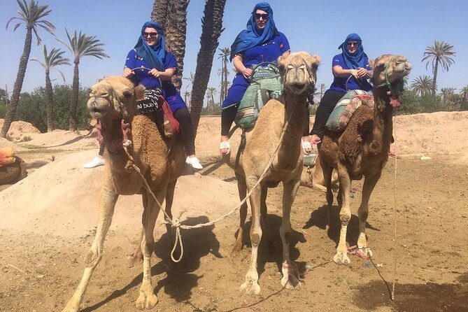 Camel Ride in Marrakech desert palmgrove - Who Is This Tour Best Suited For?
