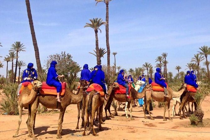 Camel Ride in Marrakech Palm Grove - Why Travelers Love This Experience