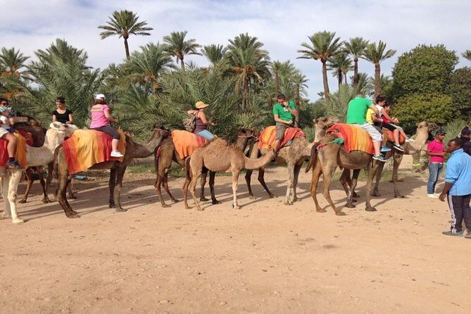 Camel Ride in Marrakech Palm Grove - The Sum Up: Is It Worth It?