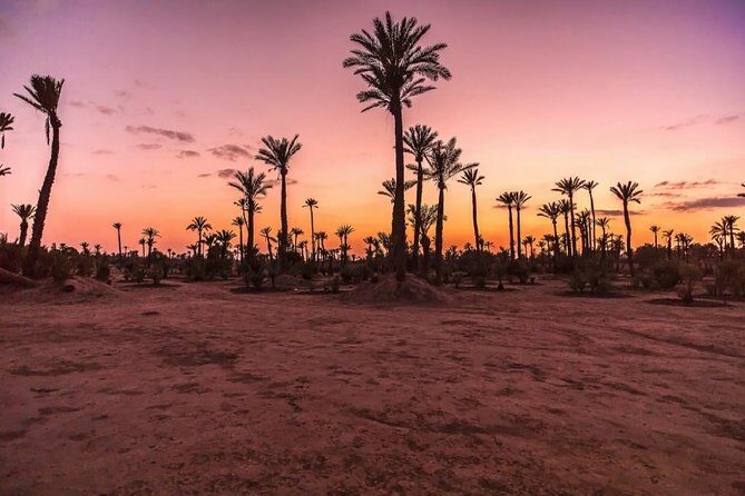 Camel Ride in Marrakech Palm Grove - FAQs