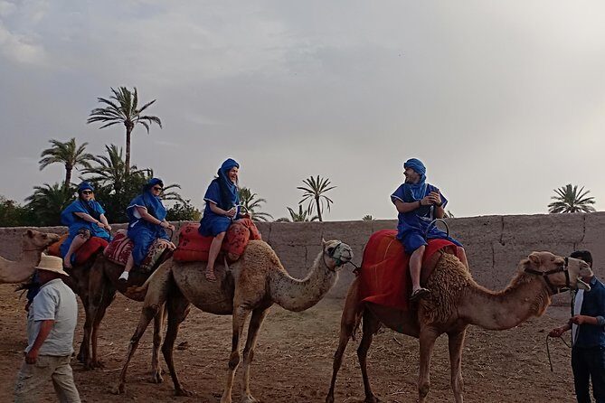 Camel ride in Marrakech (Palmerie) - Frequently Asked Questions