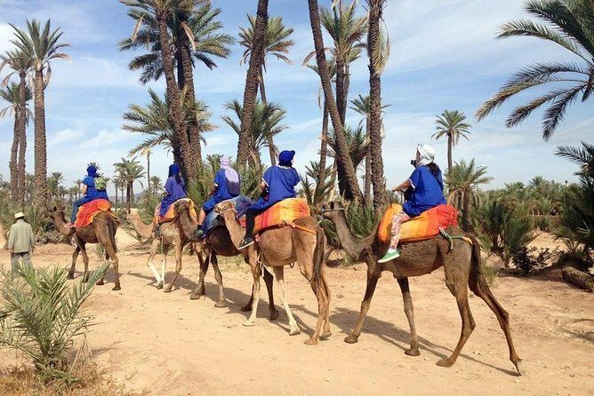 Camel ride in Marrakech (Palmerie) - Final Thoughts