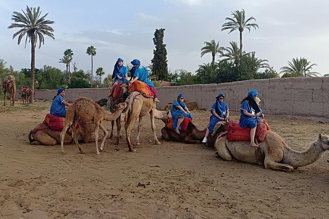 Camel ride in Marrakech (Palmerie) - Final Recommendation