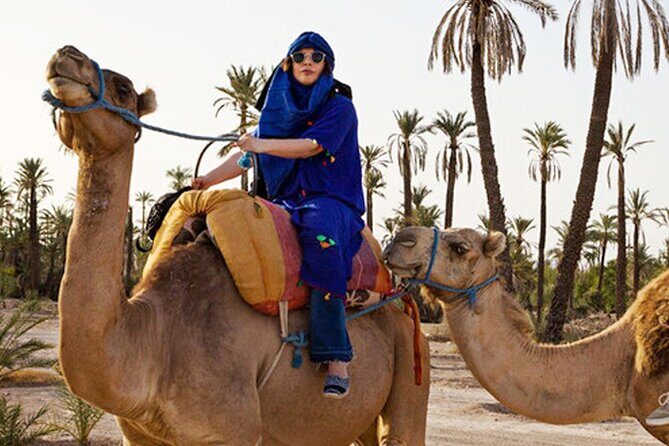 Camel Ride in Marrakesh's Palm Grove - An In-Depth Look at the Camel Ride Experience