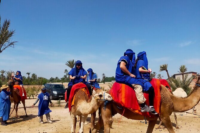 Camel Ride in Marrakesh's Palm Grove - Practical Tips