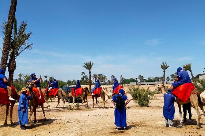 Camel Ride in Marrakesh's Palm Grove - The Sum Up