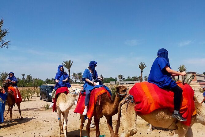 Camel Ride in Marrakesh's Palm Grove - FAQ