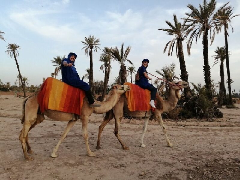 Camel Ride In Palmeraie 1 Hour, With Tea - Key Points