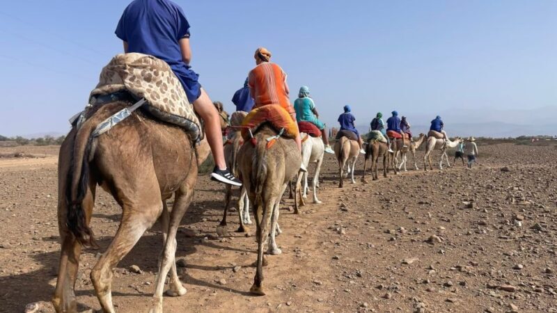 Camel Ride In Palmeraie 1 Hour, With Tea - Practical Details and Tips
