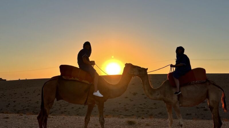 Camel Ride In Palmeraie 1 Hour, With Tea - Who Will Enjoy This Tour?