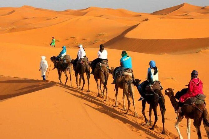 Camel ride in Tanger - An Overview of the Tour