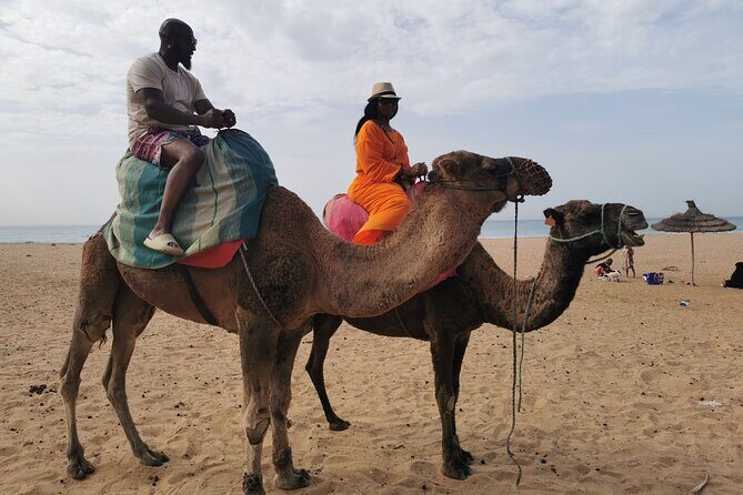 Camel ride in Tanger - Who Will Love This Tour?