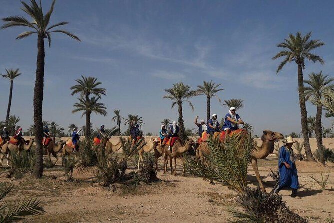 Camel Ride in the Palm Grove - Key Points