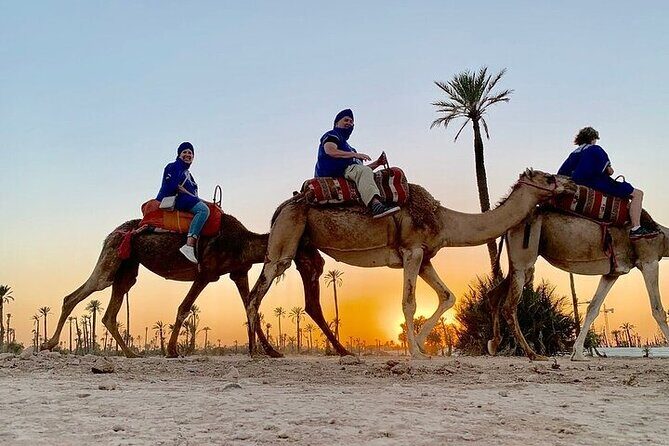 Camel Ride in the Palm Grove of Marrakech - FAQ