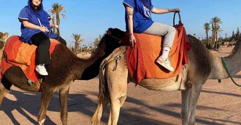 Camel Ride in the Palm Grove of Marrakech - Key Points