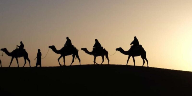 Camel Ride in the Palm Grove of Marrakech - An Honest Look at the Marrakech Camel Ride Tour