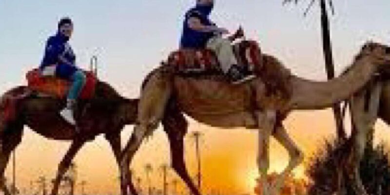 Camel Ride in the Palm Grove of Marrakech - FAQ