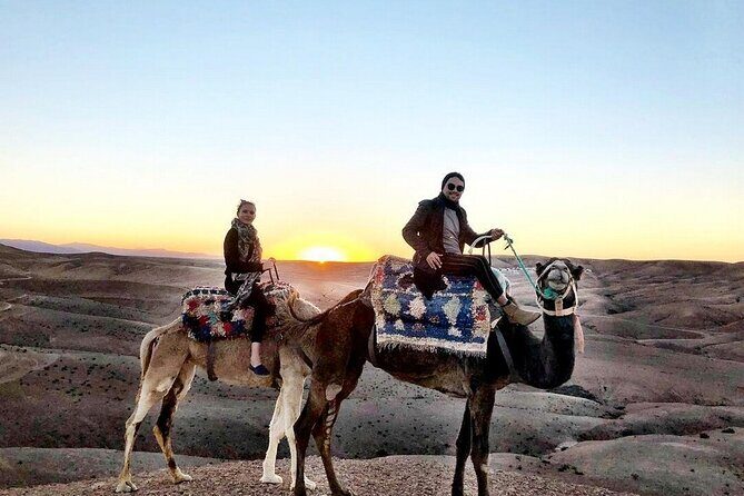 Camel Ride in the Palm Grove of Marrakech - Why Choose This Tour?