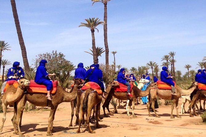Camel Ride in the Palmeraie of Marrakech - The Cultural Touch: Mint Tea in a Nomadic Tent