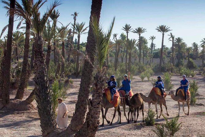 Camel Ride in the Palmeraie of Marrakech - Who Will Love It