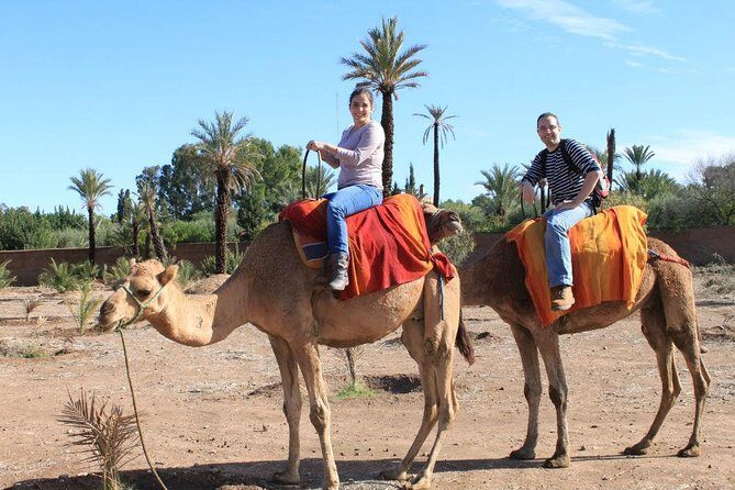 Camel Ride Marrakech - The Itinerary in Detail