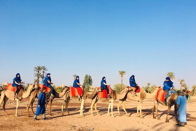 Camel Ride Marrakech - What Could Be Improved?
