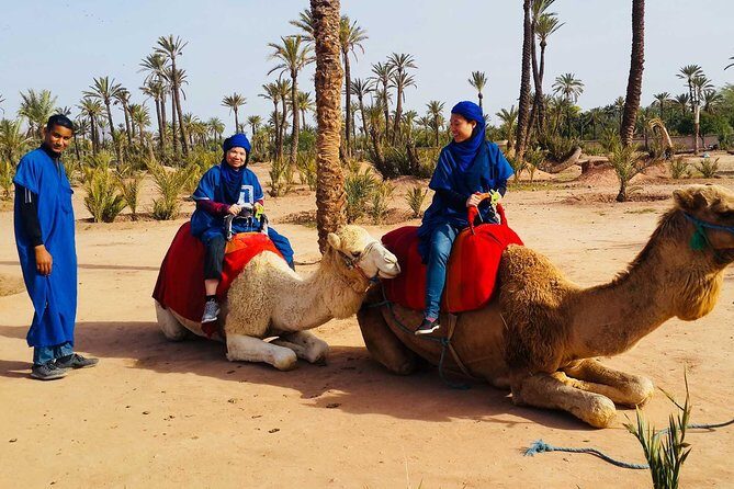 Camel Ride Marrakech - The Sum Up