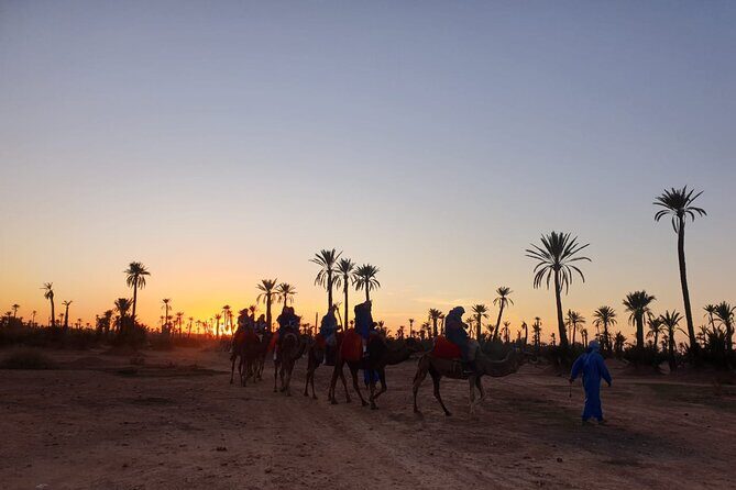 Camel ride Marrakech - A Fully Detailed Look at the Marrakech Camel Ride